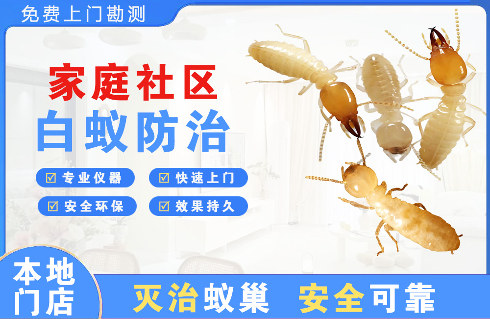 赣州家庭社区白蚁防治