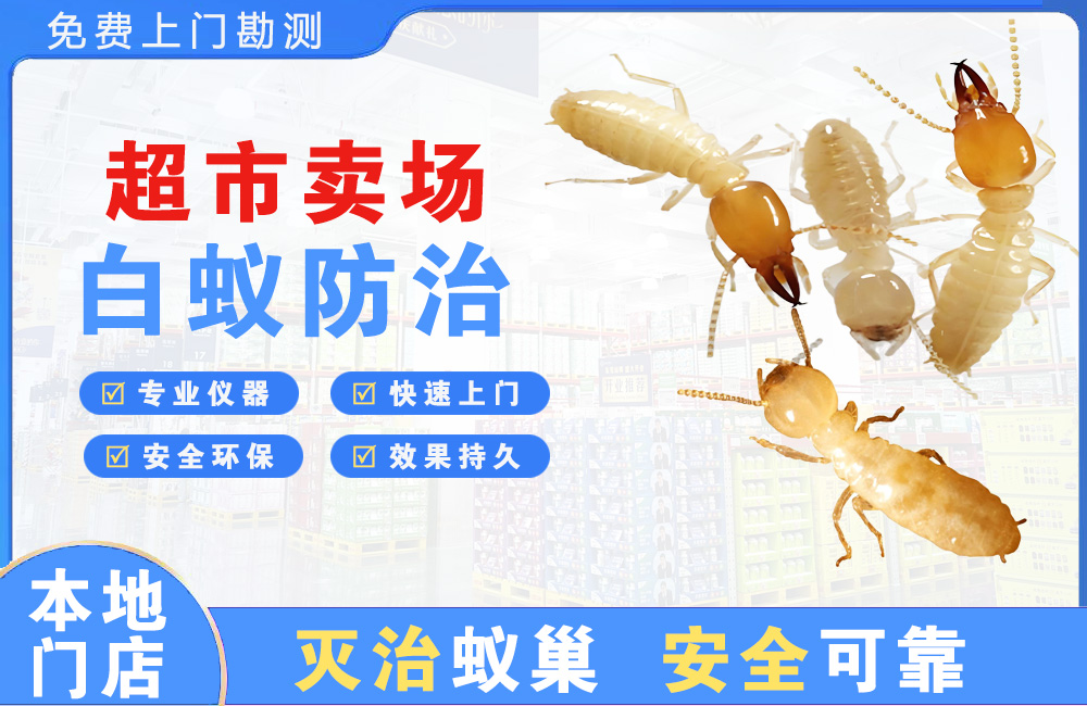 赣州超市卖场白蚁防治
