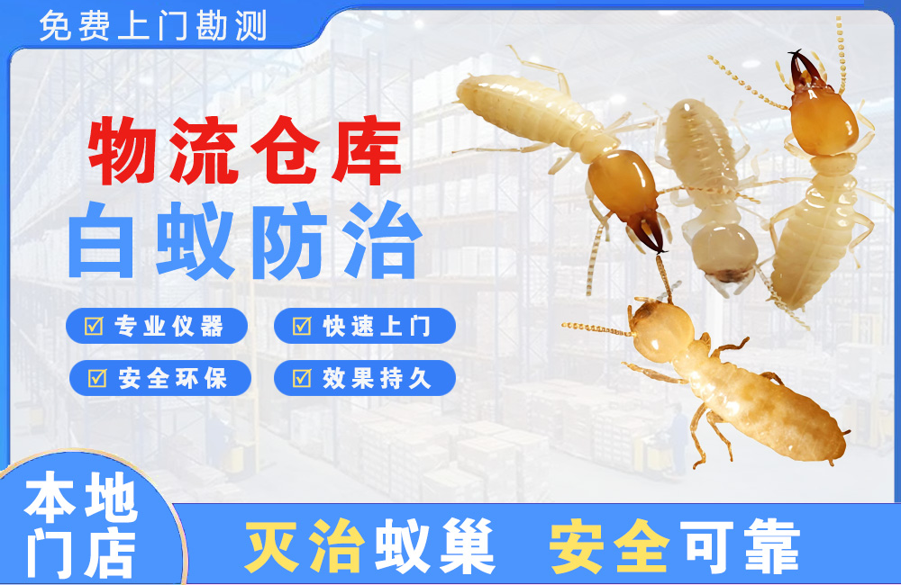 赣州物流仓库白蚁防治