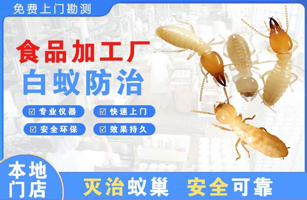 赣州食品加工厂白蚁防治