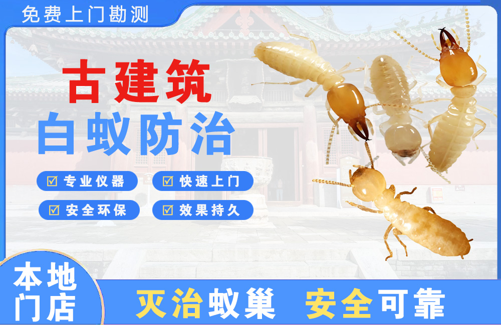 赣州古建筑白蚁防治
