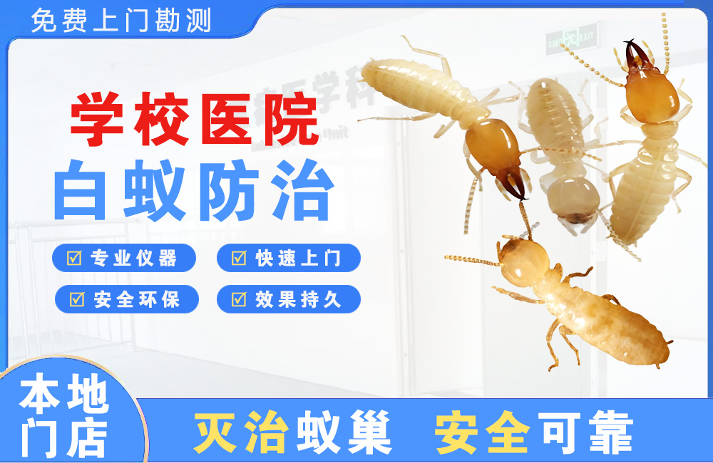 赣州学校医院白蚁防治