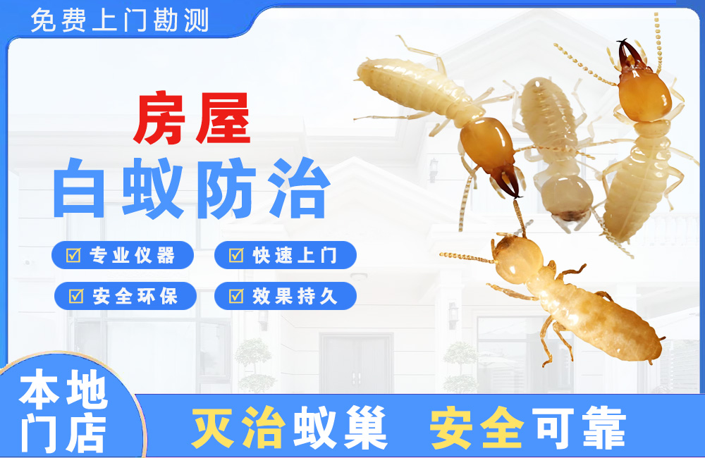 赣州房屋白蚁防治